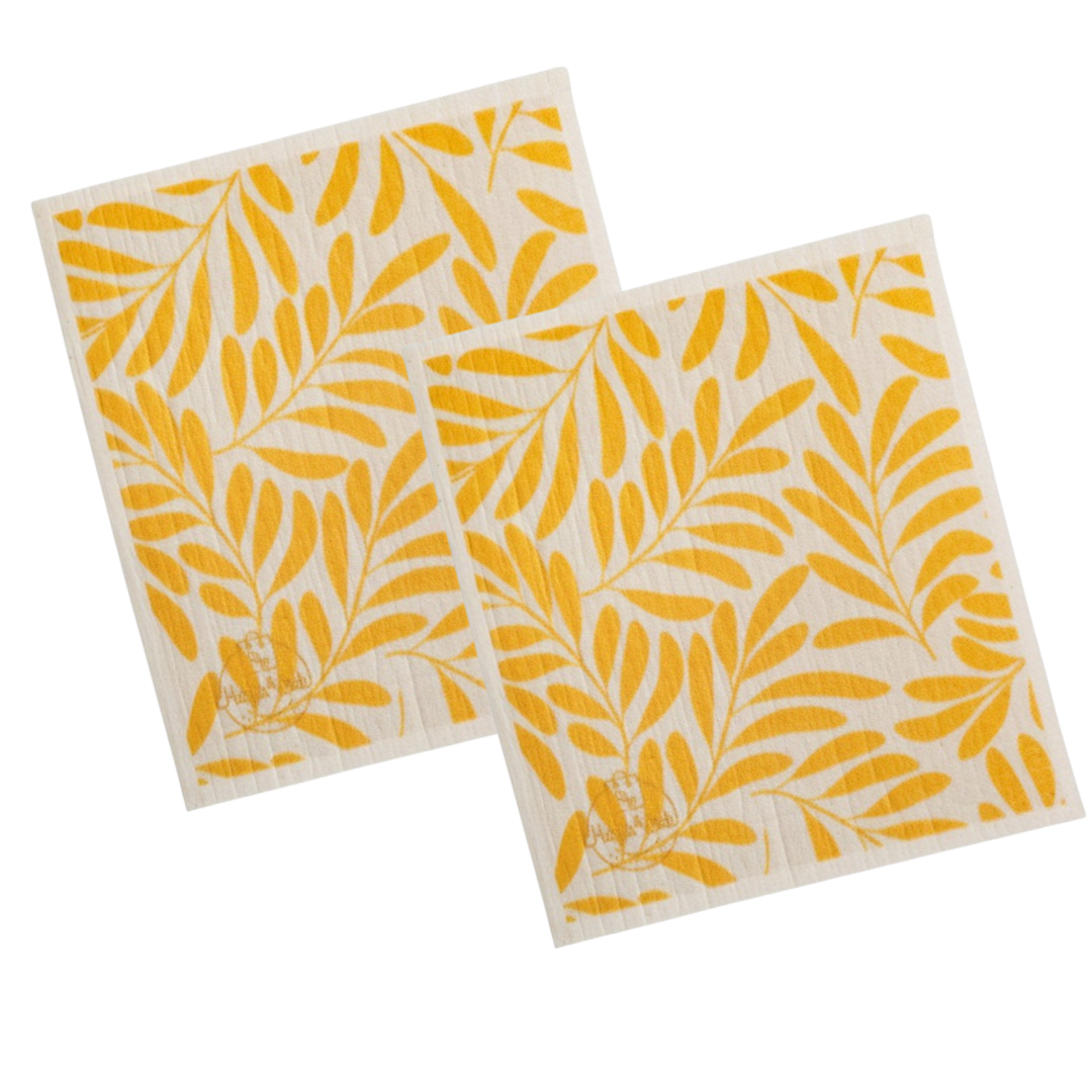 Sunshine Fern