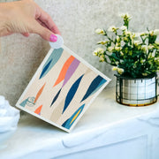 6 Pack - Color Me Bold